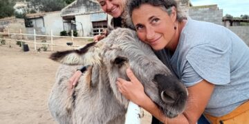 Maltempo a Quartu, l’appello per salvare l’Officina Equestre di Alba Fois a Capitana