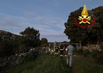 Padru, escursionista in difficoltà soccorsa dai vigili del fuoco