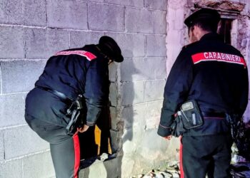 Nascondeva la droga tra le fessure di un muro in una casa abbandonata: arrestato a Pula