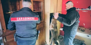 Operazione antidroga a Iglesias, sequestrati ingenti quantitativi di stupefacenti e denaro: 2 arresti