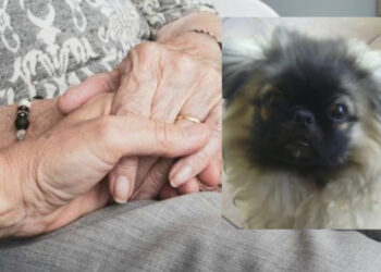 Sardegna, 44enne sfrattata dal padre insieme alla madre: “Siamo disperate, vivo a casa delle mie amiche”