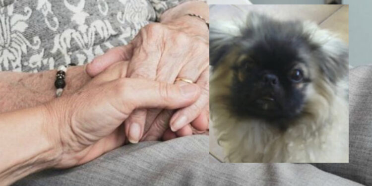 Sardegna, 44enne sfrattata dal padre insieme alla madre: “Siamo disperate, vivo a casa delle mie amiche”