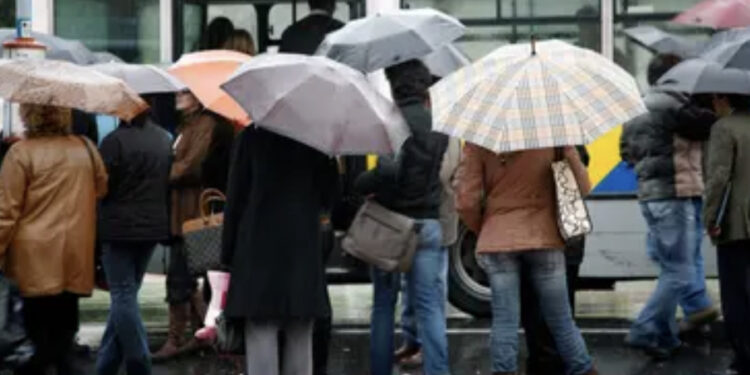 Studente disabile di 15 anni dimentica l’abbonamento: l’autista lo fa scendere dal bus