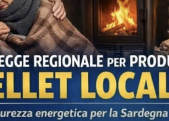 Mancanza di pellet in Sardegna: “Raccolta firme per aumentare la produzione locale”