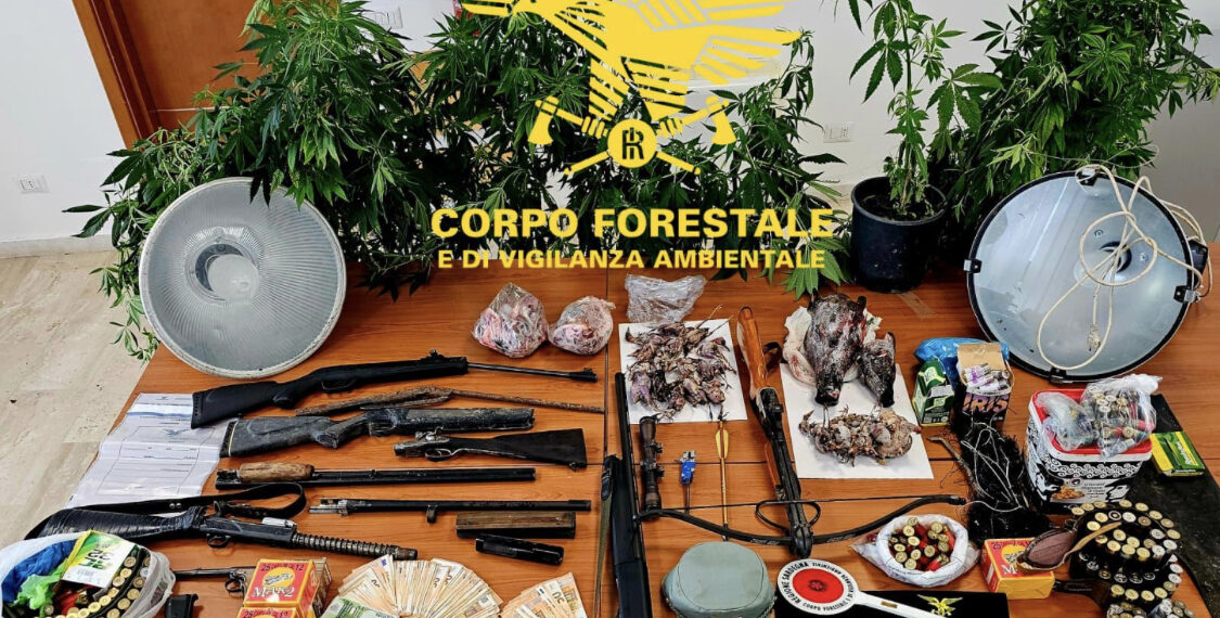 Operazione antibracconaggio nell’hinterland cagliaritano: due fermi e sequestro di munizioni, selvaggina e stupefacenti
