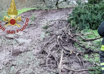 Danni per il forte vento, Muravera dichiara lo stato di calamità naturale