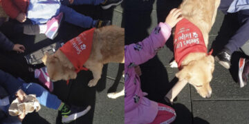 Maracalagonis, a scuola con Fido: avviato il progetto “Scuodinzola”