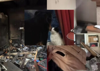 Carbonia, devastante incendio distrugge una casa e la padrona tenta di salvare cane e gatto: “È stata trattenuta, i morti sarebbero stati 3”