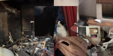 Carbonia, devastante incendio distrugge una casa e la padrona tenta di salvare cane e gatto: “È stata trattenuta, i morti sarebbero stati 3”