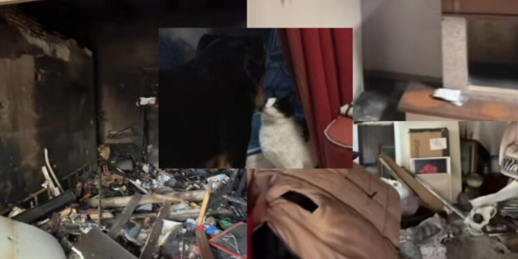 Carbonia, devastante incendio distrugge una casa e la padrona tenta di salvare cane e gatto: “È stata trattenuta, i morti sarebbero stati 3”