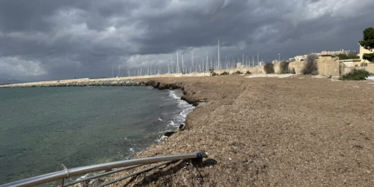 Cagliari, sopralluogo al Poetto dopo Harry:”Un milione e 600 mila euro per interventi necessari”
