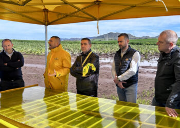 Maltempo, Coldiretti Sardegna: “Oltre 30 milioni di perdite, subito nucleo d’emergenza per la conta dei danni è stato di calamità”