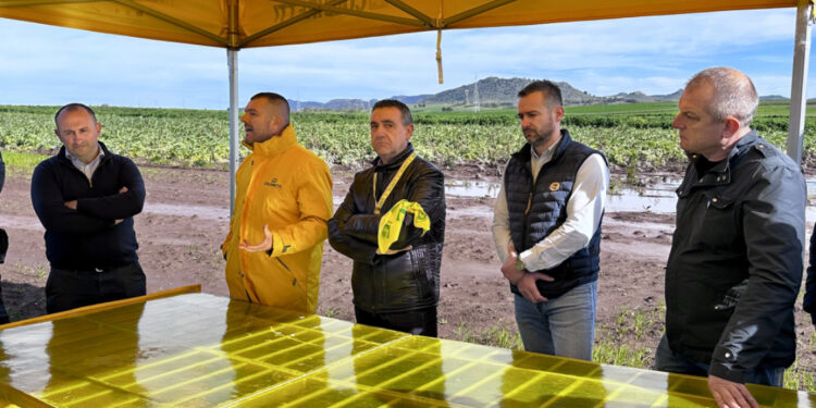 Maltempo, Coldiretti Sardegna: “Oltre 30 milioni di perdite, subito nucleo d’emergenza per la conta dei danni è stato di calamità”