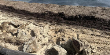 Pula, partono i lavori dopo il ciclone Harry ma la minoranza bacchetta l’Amministrazione: “Interventi da attivare tempestivamente”