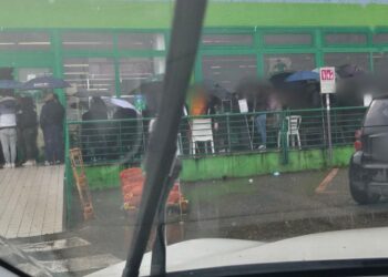 Cagliari, come in guerra per il cibo: assurde e inaccettabili scene per un sacco di pellet a prezzi choc