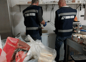 Cagliari, 20 kg di prodotti ittici non commestibili: sanzione e sequestro, sospesa l’attività di un ristorante etnico