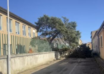 Le forti raffiche di vento mettono in ginocchio la Gallura e il Nuorese: operaio ferito dalla caduta di un albero