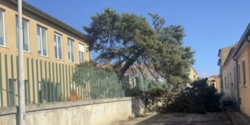 Le forti raffiche di vento mettono in ginocchio la Gallura e il Nuorese: operaio ferito dalla caduta di un albero