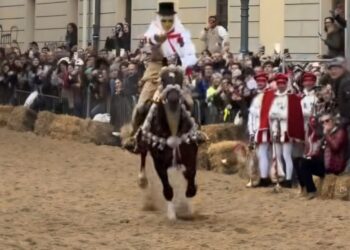 Oristano, Sartiglia nera per due cavalli della giostra equestre: uno è morto, l’altro è rimasto ferito
