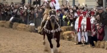 Oristano, Sartiglia nera per due cavalli della giostra equestre: uno è morto, l’altro è rimasto ferito