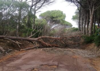 Il maltempo in Sardegna mette ko linee elettriche, telefonia, strade, acqua potabile: insorgono i sindaci