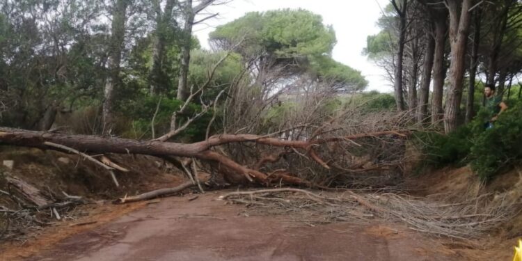 Il maltempo in Sardegna mette ko linee elettriche, telefonia, strade, acqua potabile: insorgono i sindaci