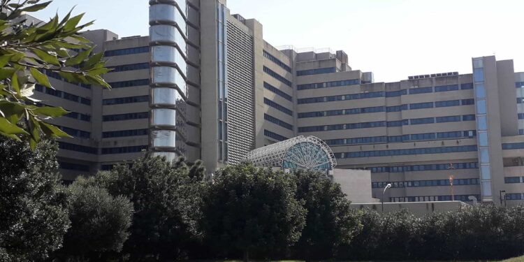 Cagliari, blocco della mobilità per gli infermieri: il caso finisce sui banchi della Regione