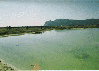 Poetto, ripascimento o conferimento? Il Grig: “Mancano almeno due milioni di metri cubi di sabbia”