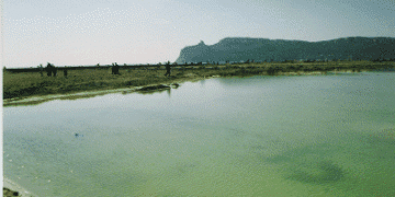 Poetto, ripascimento o conferimento? Il Grig: “Mancano almeno due milioni di metri cubi di sabbia”