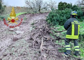 Muravera, alberi e cavi elettrici crollano in strada: famiglie isolate nel Sarrabus, crolla una casa a Sedilo