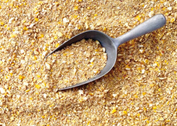 Cagliari, rivendita di mangimi chiusa dai Nas: “Ecco come è andata”