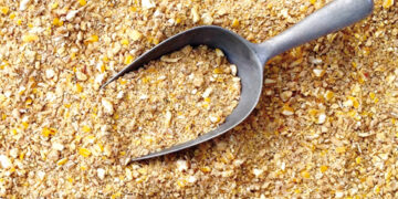 Cagliari, rivendita di mangimi chiusa dai Nas: “Ecco come è andata”