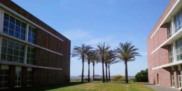 Tiscali-WindTre, allarme lavoro a Cagliari: il ridimensionamento mette a rischio centinaia di posti