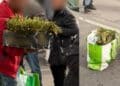 Quartu Sant’Elena, ambulanti abusivi al mercatino rionale: scatta la protesta per gli asparagi “non autorizzati”