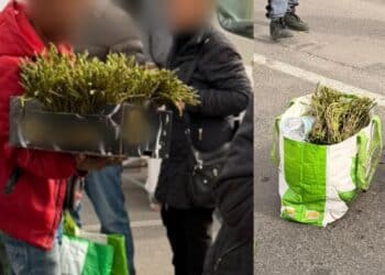 Quartu Sant’Elena, ambulanti abusivi al mercatino rionale: scatta la protesta per gli asparagi “non autorizzati”