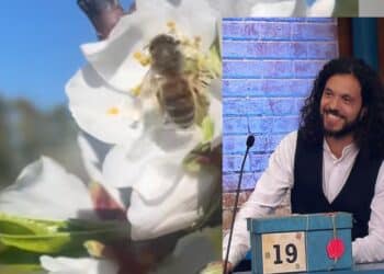 Da Uta ad “Affari tuoi”, Davide Meloni conquista il grande pubbliconella trasmissione dei pacchi