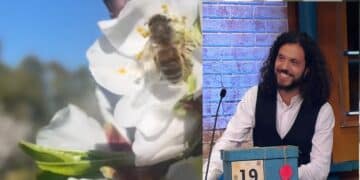 Da Uta ad “Affari tuoi”, Davide Meloni conquista il grande pubbliconella trasmissione dei pacchi