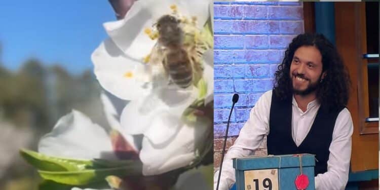 Da Uta ad “Affari tuoi”, Davide Meloni conquista il grande pubbliconella trasmissione dei pacchi