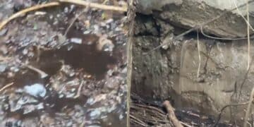 Capoterra, a Santa Rosa fogne a cielo aperto nel cortile