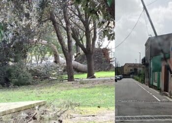 Serramanna, alberi e pali crollati per le forti raffiche di vento: chiusi tutti i parchi e il cimitero