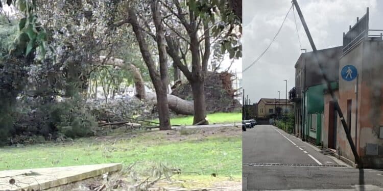 Serramanna, alberi e pali crollati per le forti raffiche di vento: chiusi tutti i parchi e il cimitero
