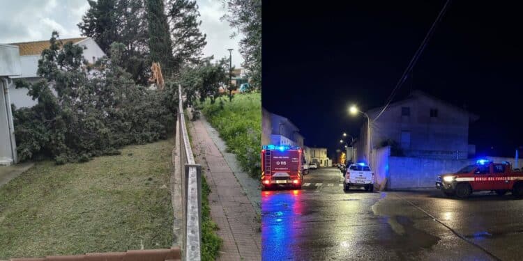 Samassi, crolla un grosso albero nel cortile dell’asilo: enormi danni per il maltempo