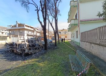 Sestu, il rogo dei camper in via Togliatti ha danneggiato anche gli alberi: rimozione necessaria