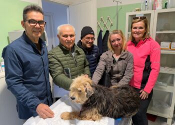 Scompare a Maracalagonis, Tartufo Pedro ritrovato dopo 4 anni a Villasimius