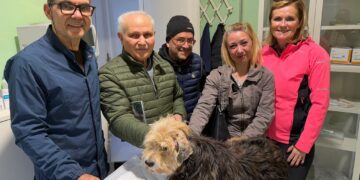 Scompare a Maracalagonis, Tartufo Pedro ritrovato dopo 4 anni a Villasimius