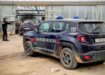 Maxi operazione dei carabinieri a Masainas: una discarica abusiva con lavoratori in nero e furto di energia elettrica