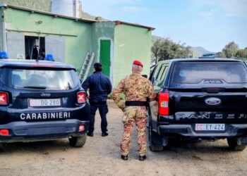 Un fucile nascosto nel terreno e droga in auto: allevatore denunciato a Gonnosfanadiga