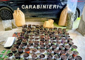 Maracalagonis, scoperta una serra bunker in un’azienda agricola: sequestrati 14 kg di marijuana, un arresto