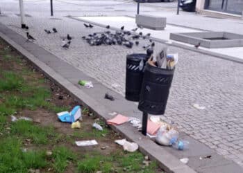 Cagliari, in piazza San Cosimo il banchetto per piccioni e gabbiani è servito: “Stato di degrado inaccettabile”
