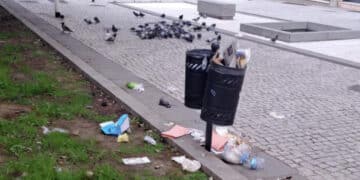 Cagliari, in piazza San Cosimo il banchetto per piccioni e gabbiani è servito: “Stato di degrado inaccettabile”